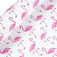 Pink Flamingo on White